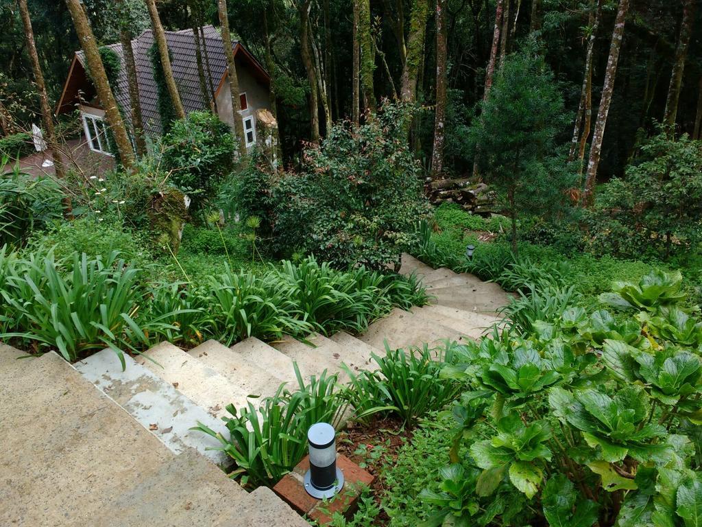 La Reserve Suites Monte Verde  Luaran gambar