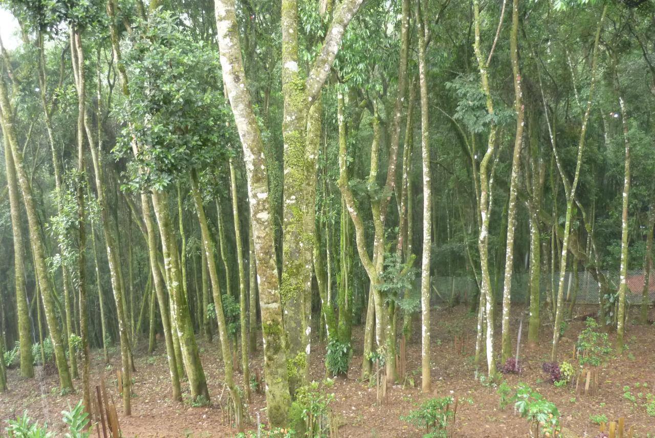 La Reserve Suites Monte Verde  Luaran gambar
