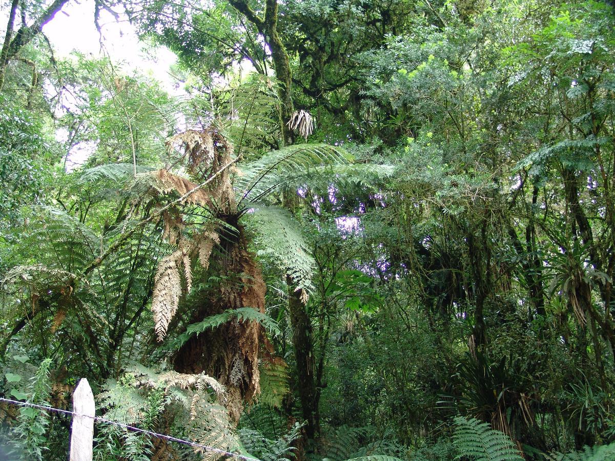 La Reserve Suites Monte Verde  Luaran gambar