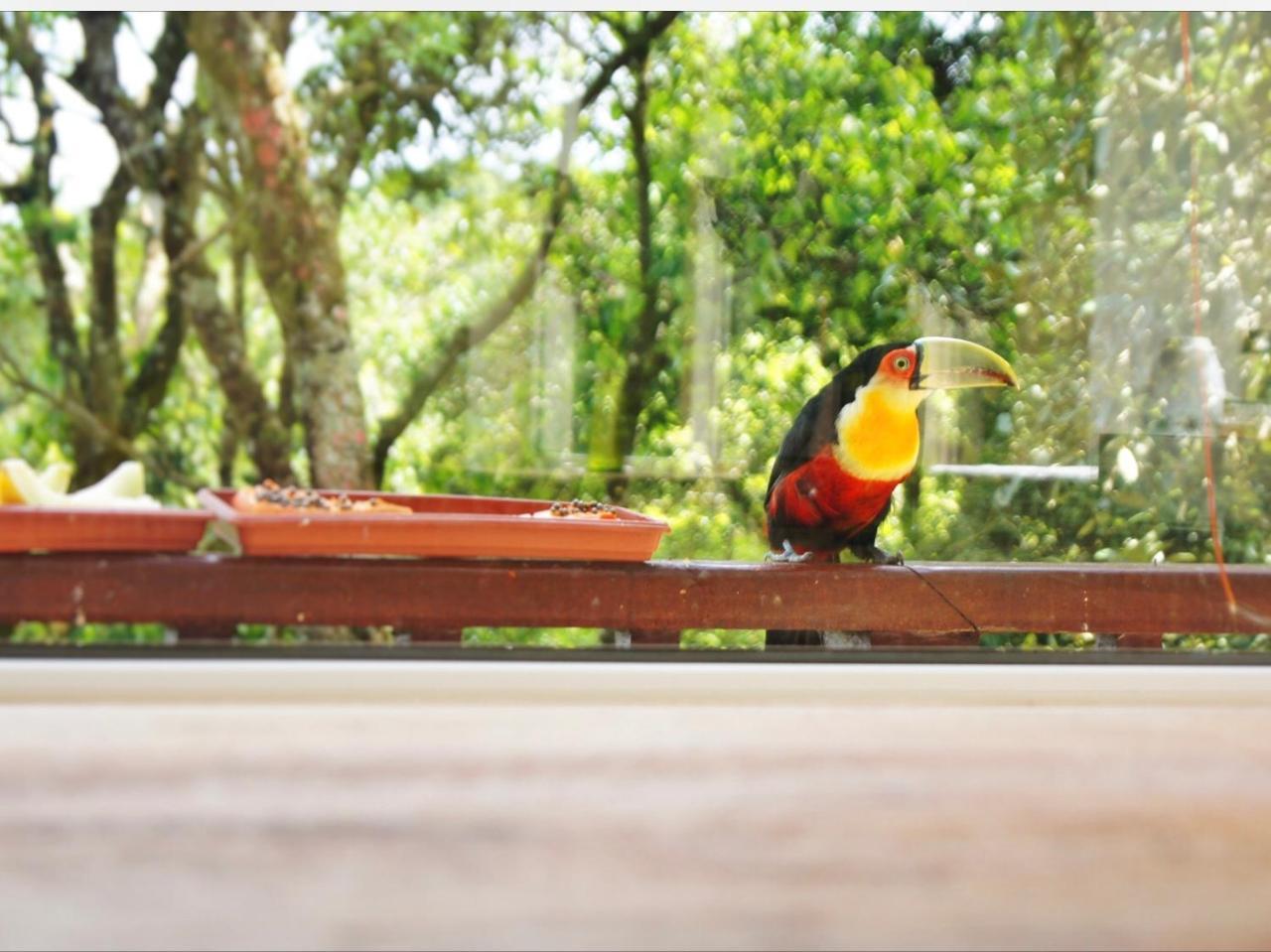 La Reserve Suites Monte Verde  Luaran gambar